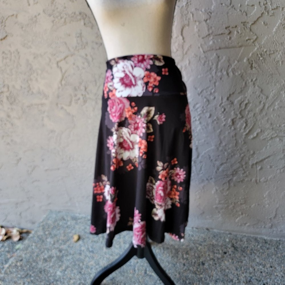 NWOT Popana A-line Skirt sz 2X